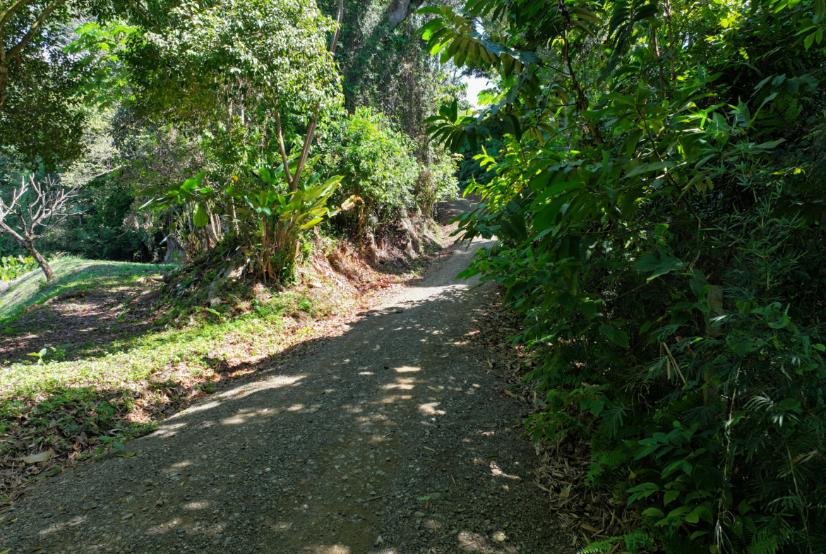 Dominical Homesite in Gated Community Minutes to Beach