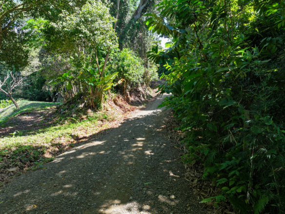 Dominical Homesite in Gated Community Minutes to Beach