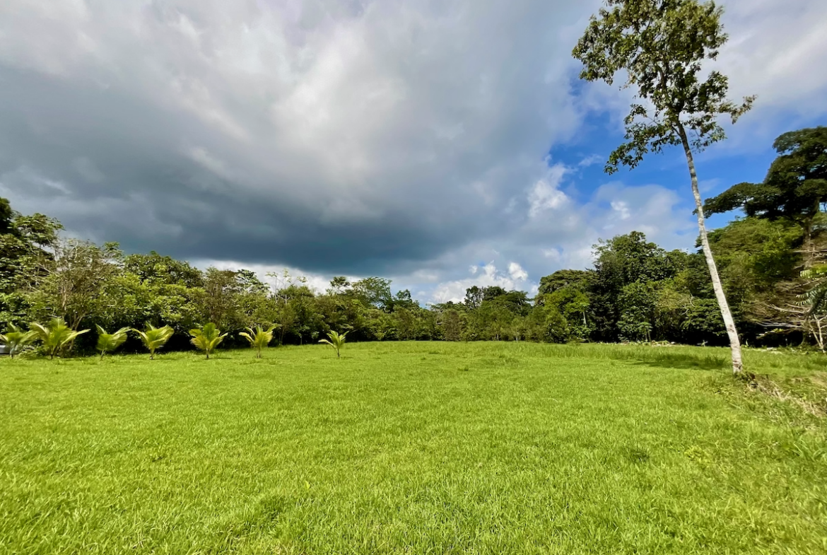 Puerto Jimenez Osa Large Building Lot Surrounded by Nature