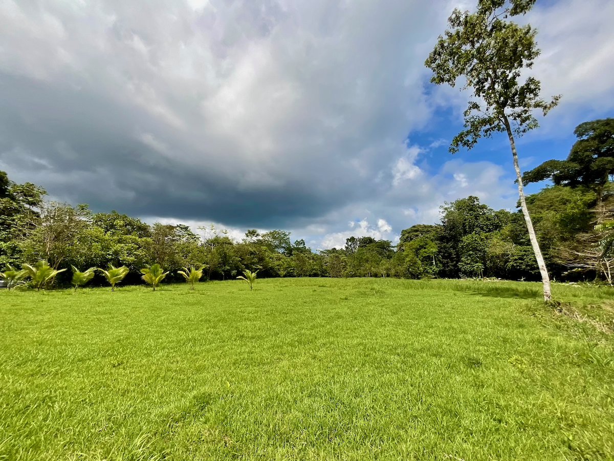 Puerto Jimenez Osa Large Building Lot Surrounded by Nature