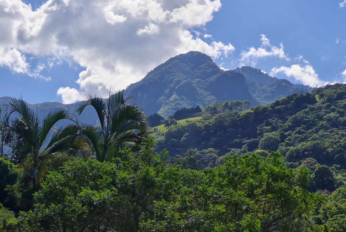 Private 2-acre Escazu View Estate with Remodeled 2 BR House