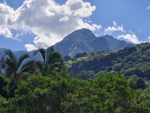 Private 2-acre Escazu View Estate with Remodeled 2 BR House