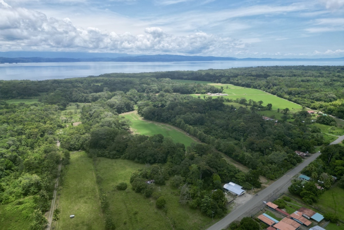 Puerto Jimenez 21 Acres of Tropical Farmland