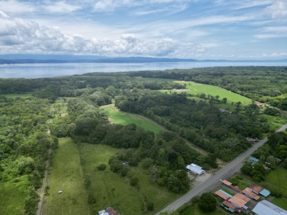 Puerto Jimenez 21 Acres of Tropical Farmland