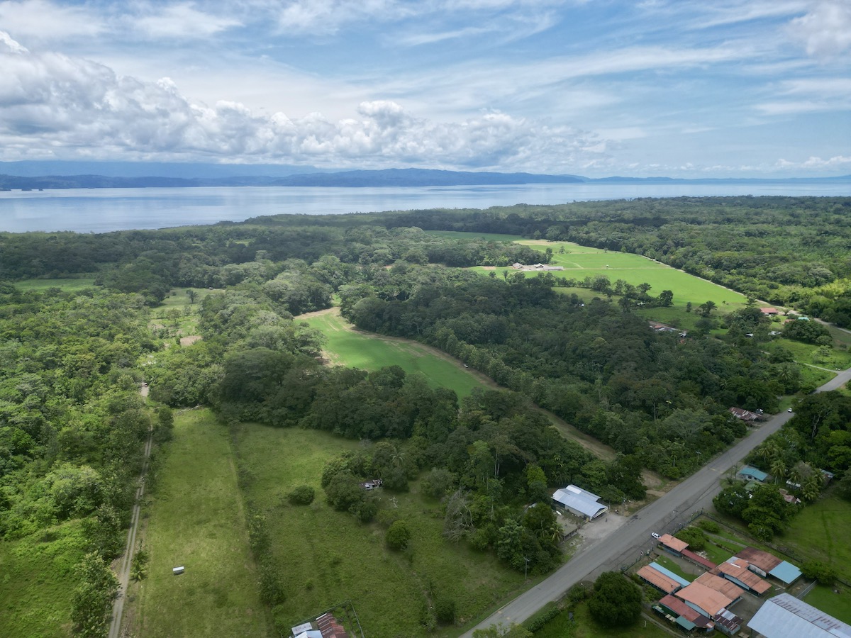 Puerto Jimenez 21 Acres of Tropical Farmland