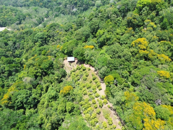 Perez Zeledon 4 Acre Fruit Farm with Cabin and Waterfall