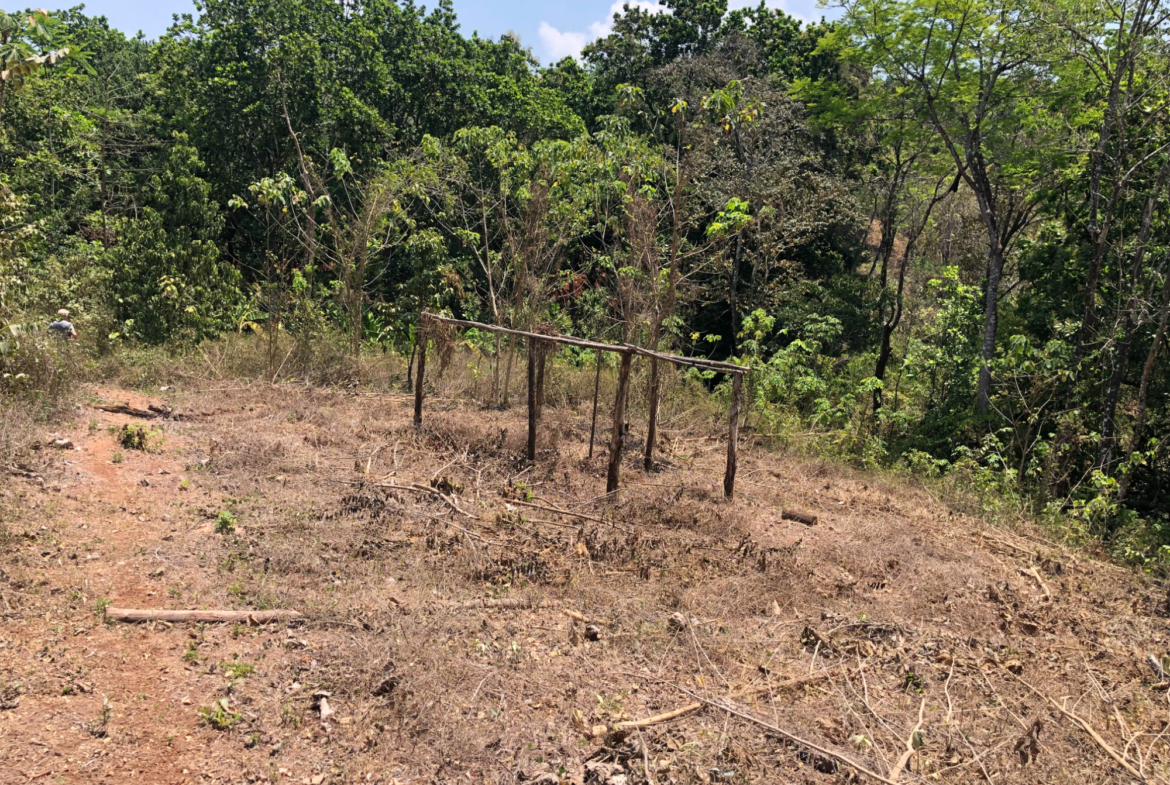 Samara Beach Hills Building Lot on Creek