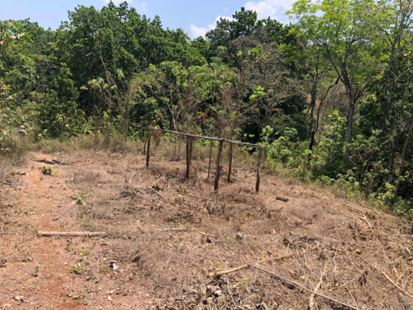 Samara Beach Hills Building Lot on Creek