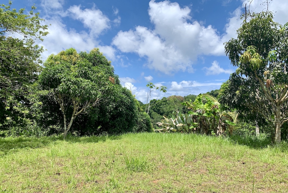 12 Acre Ocean View Off-Grid Small Mountain Farm