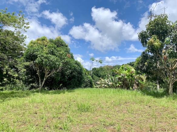 12 Acre Ocean View Off-Grid Small Mountain Farm