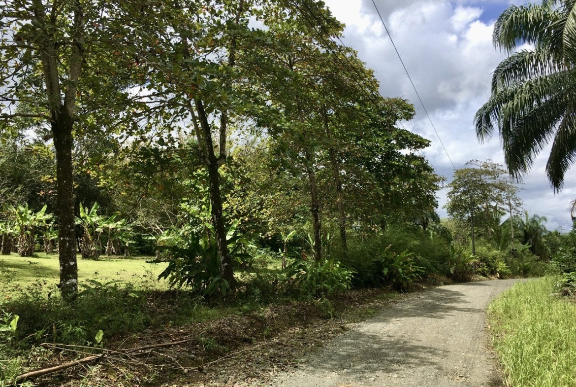 Puerto Jimenez Manicured Homesite