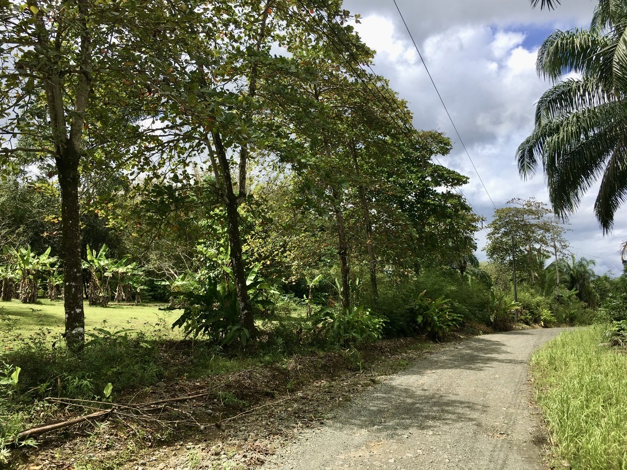 Puerto Jimenez Manicured Homesite