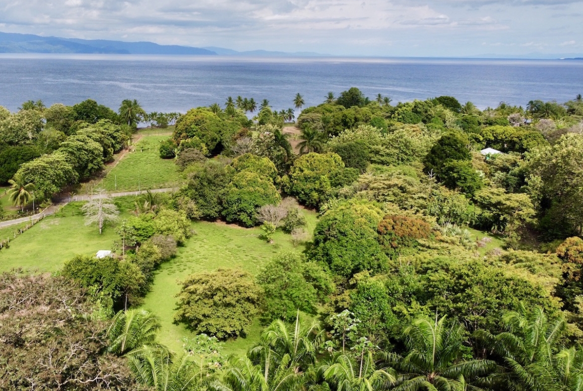 Titled Lot in Nice Puerto Jimenez Beach Community