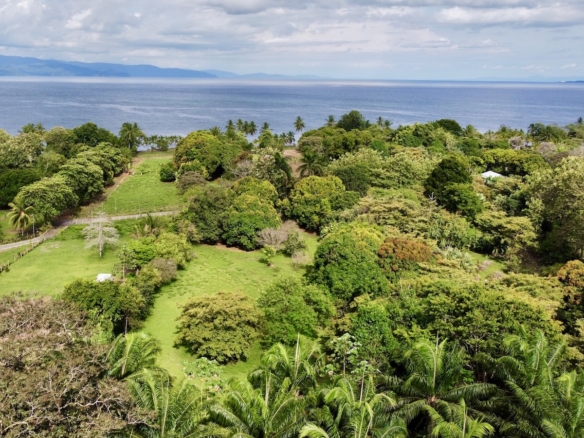 Titled Lot in Nice Puerto Jimenez Beach Community