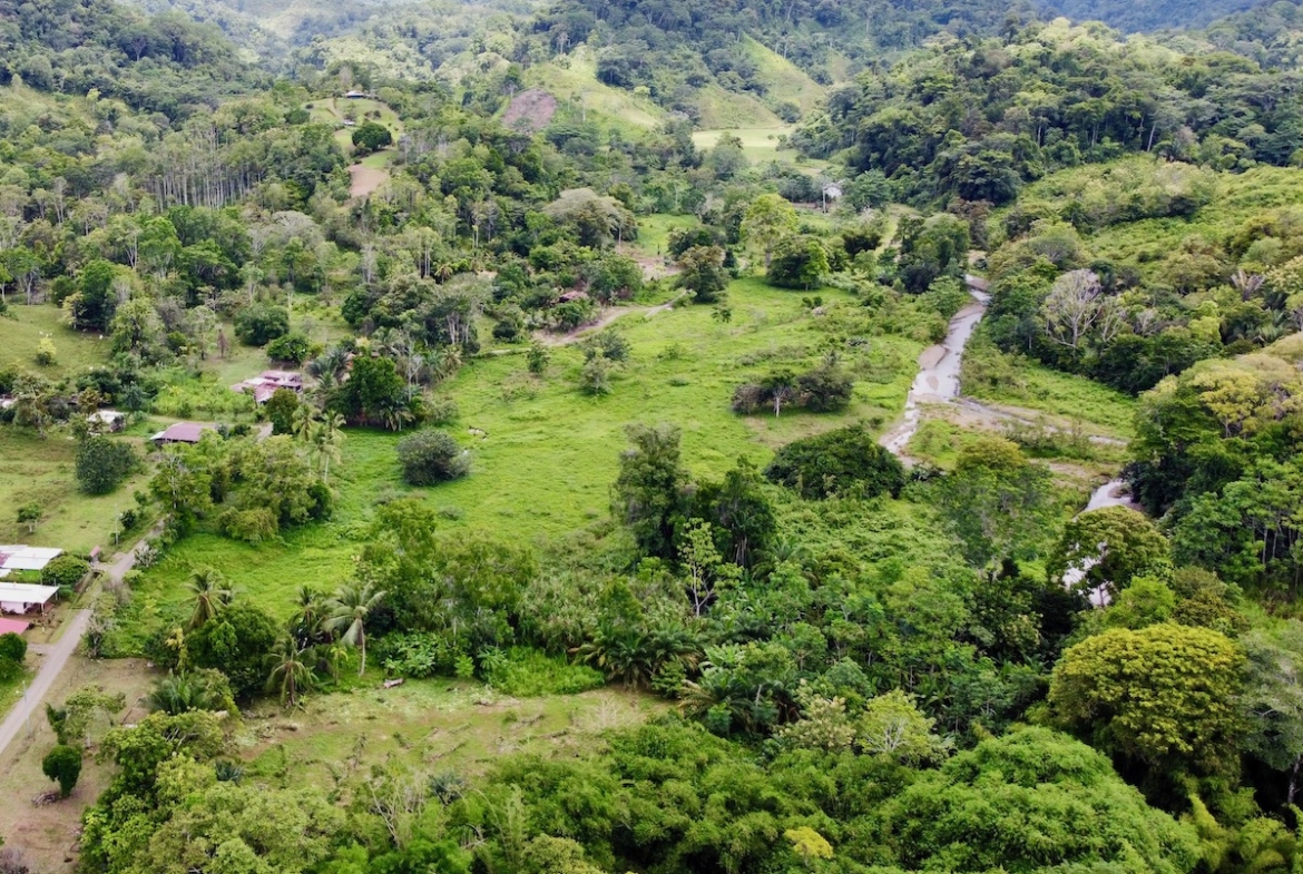 6 Acre Jungle View Property in Osa Peninsula