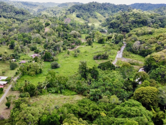 6 Acre Jungle View Property in Osa Peninsula