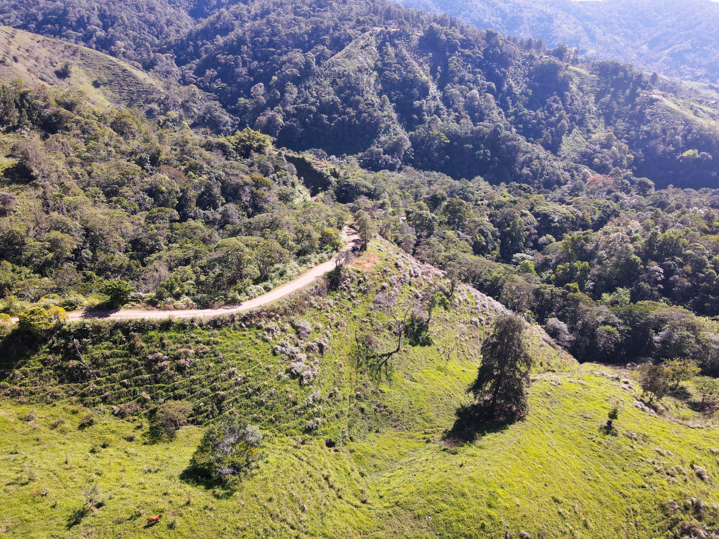 Cheap 10 Acre Perez Zeledon Mountain Property