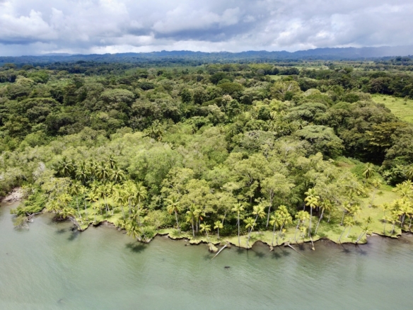 WOW 98 Acre Golfo Dulce Coast Property Near Puerto Jimenez