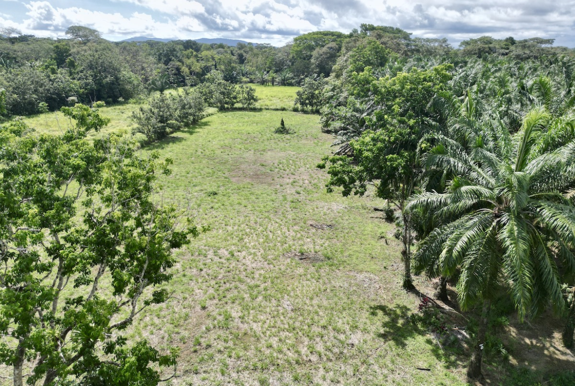 DJI_0248 copy_4