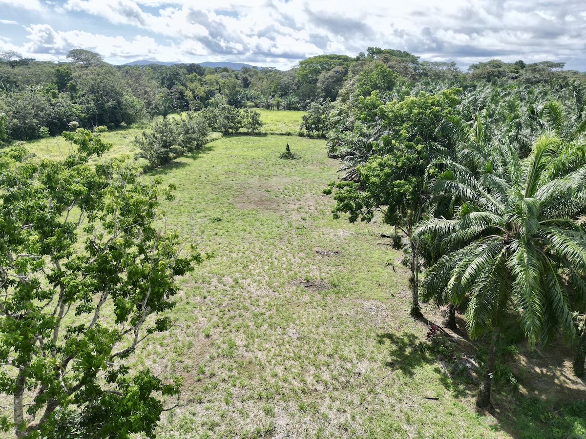 DJI_0248 copy_4