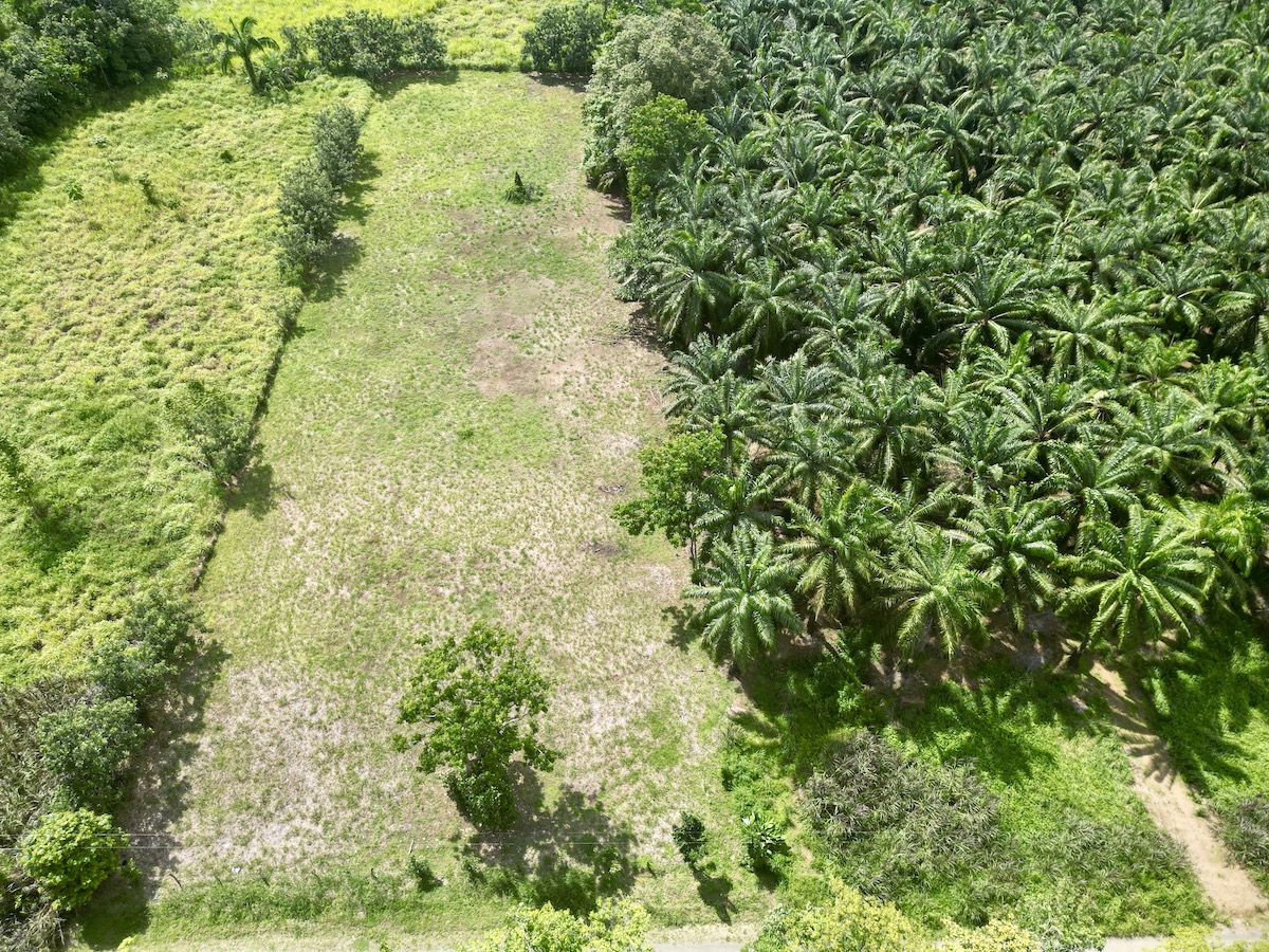 DJI_0249 copy_3