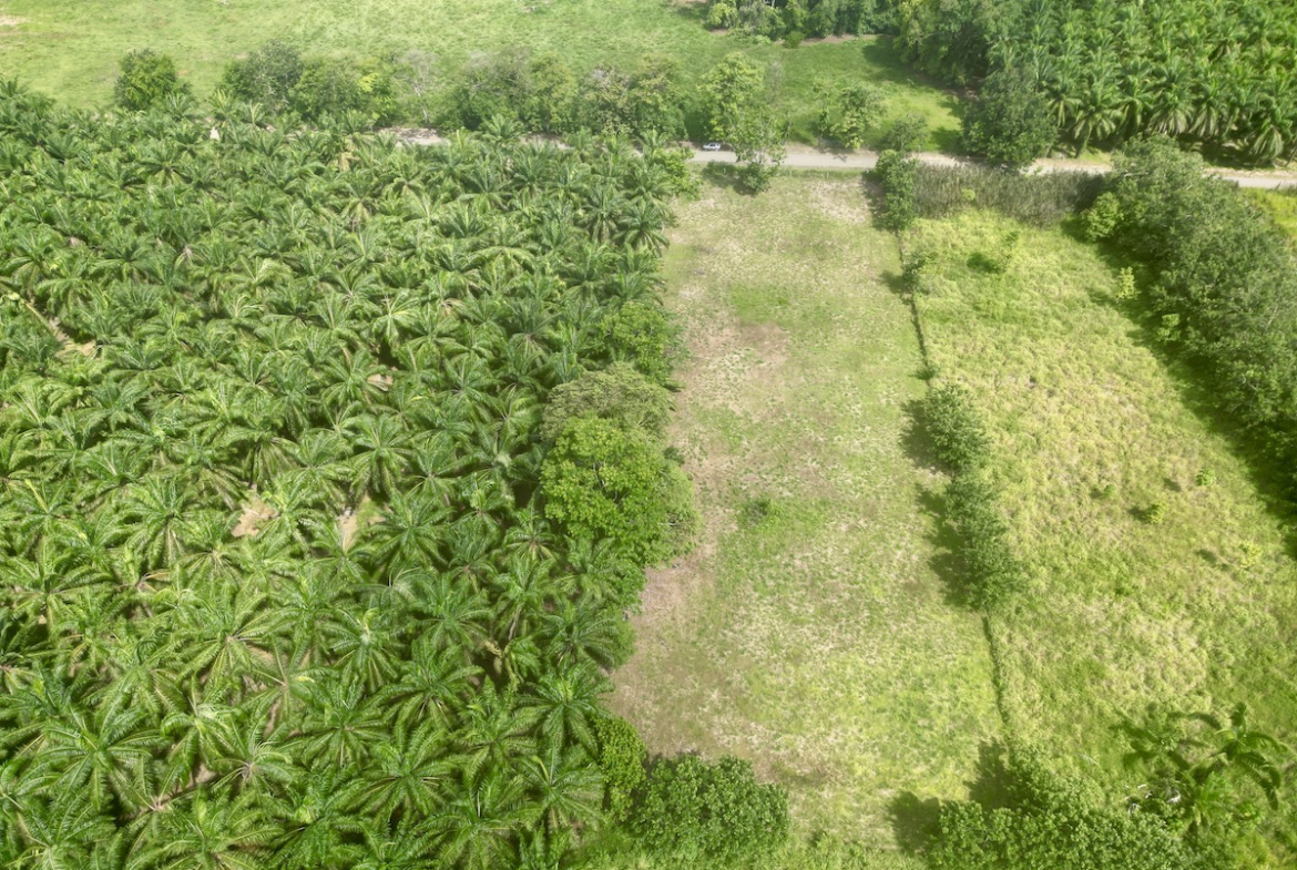 DJI_0255 copy_2