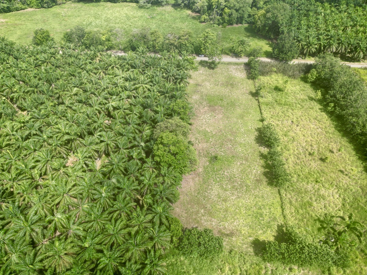DJI_0255 copy_2