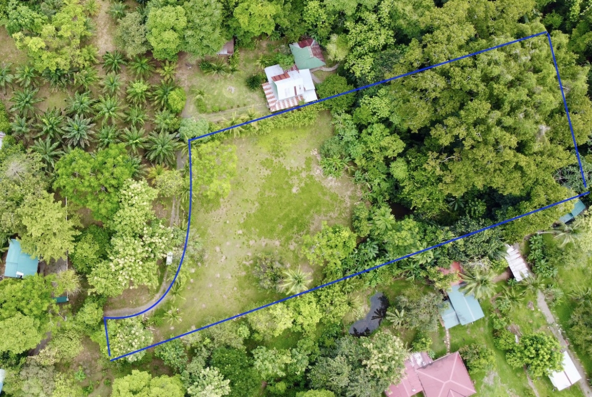 Beautiful and Flat Building Lot Near Puerto Jimenez