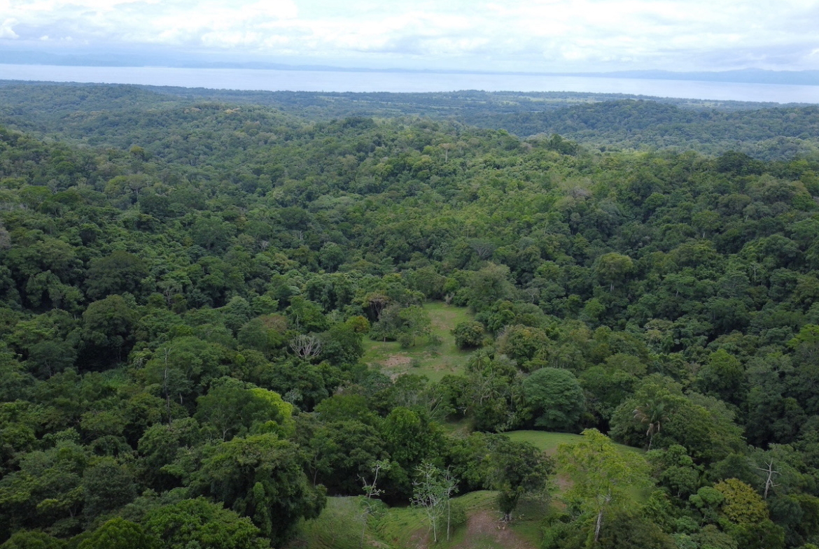 High Elevation 99 Acres Osa Rainforest and Ocean View Property