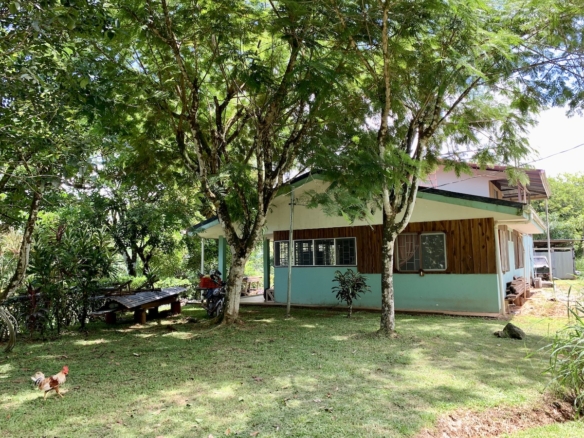 La Palma Turnkey 2 BR Garden Home on Large Parcel