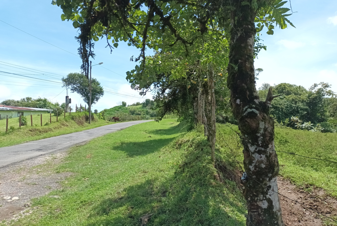 102-Acre Development Property in Cascajal de Coronado