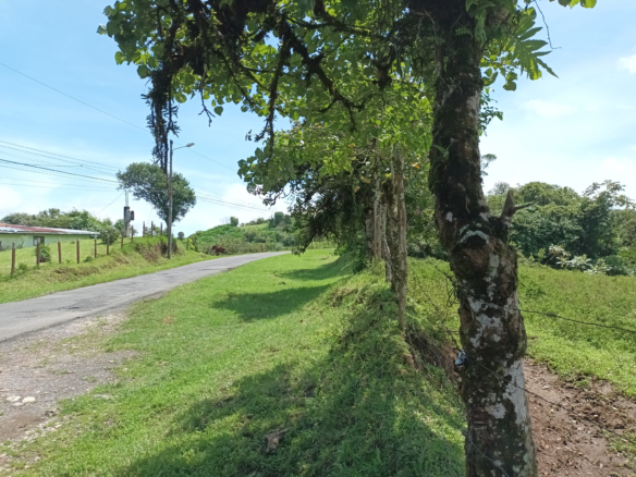 102-Acre Development Property in Cascajal de Coronado