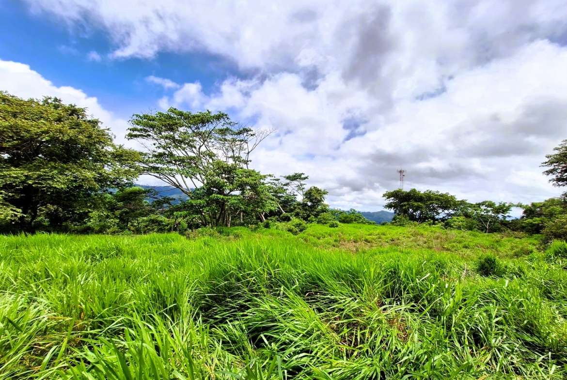 Beautiful almost 2 Acre Atenas building lot – all flat land