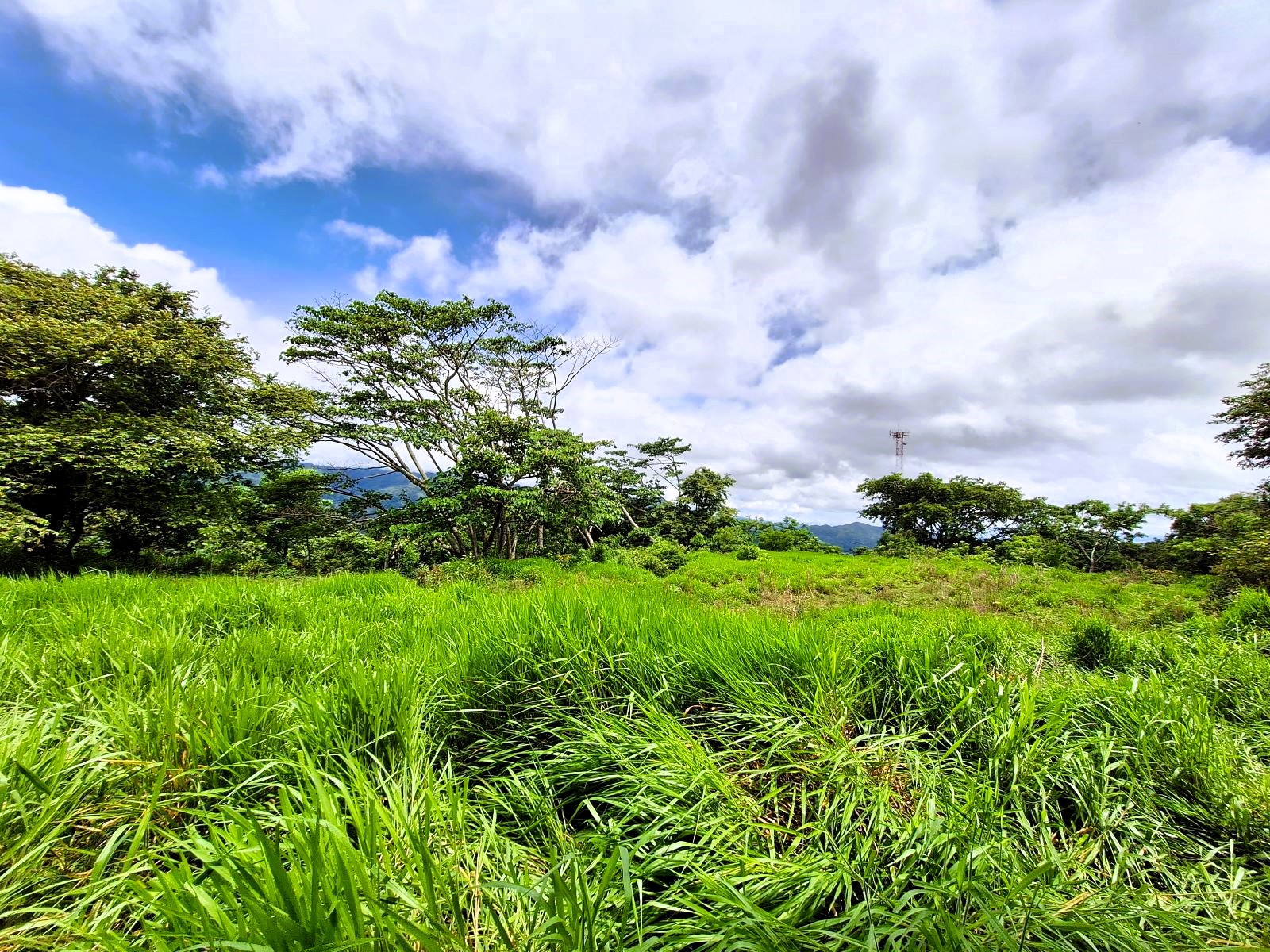 Beautiful almost 2 Acre Atenas building lot – all flat land