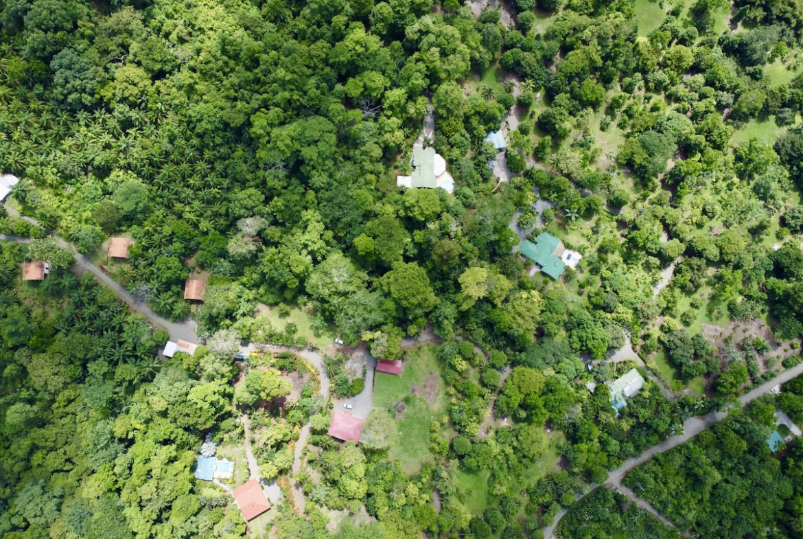 Forested Building Lot Near Puerto Jimenez