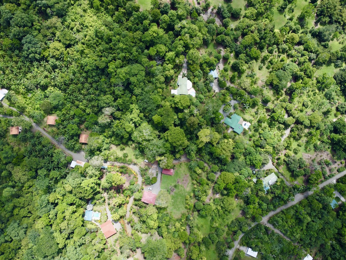 Forested Building Lot Near Puerto Jimenez