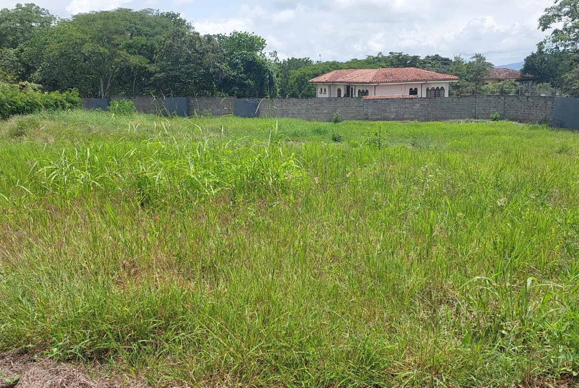 Flat Quarter Acre La Guacima Building Lot in Gated Community