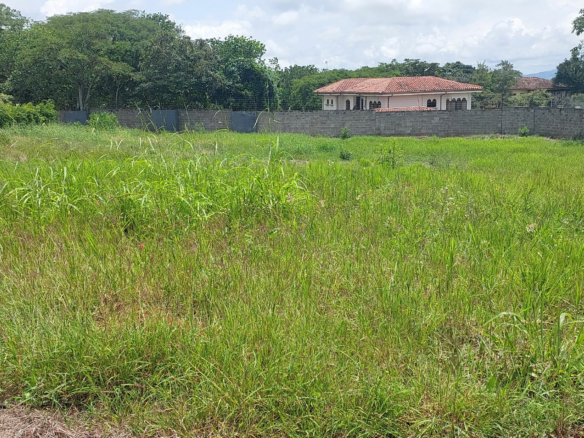 Flat Quarter Acre La Guacima Building Lot in Gated Community