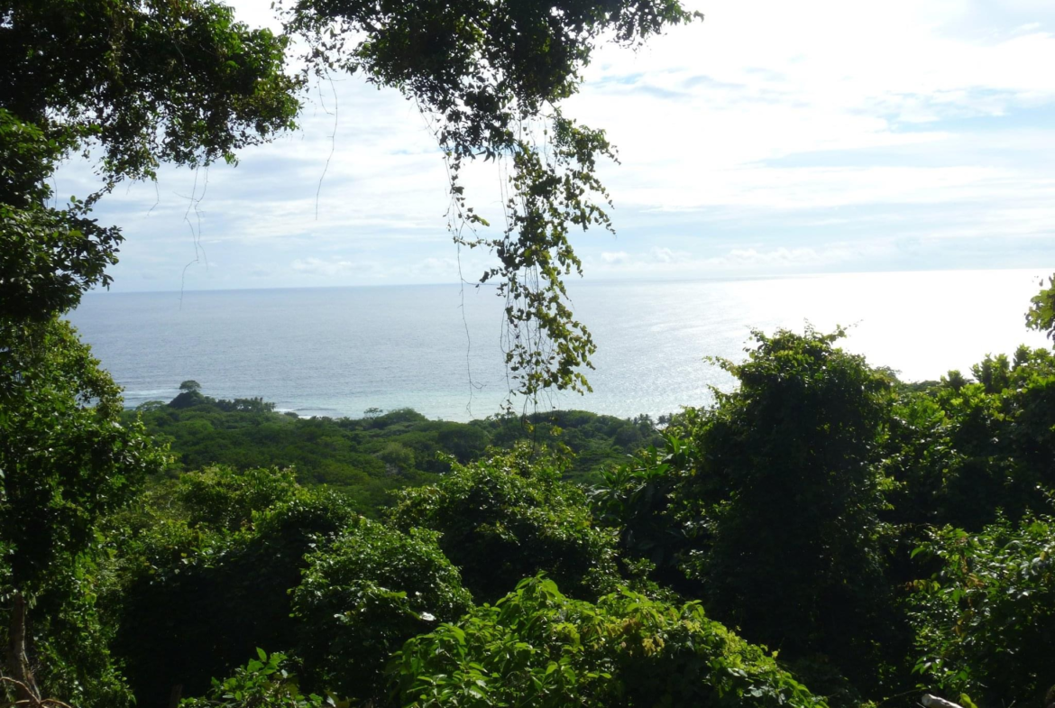 Rare Mal Pais Hills Ocean View Opportunity Property