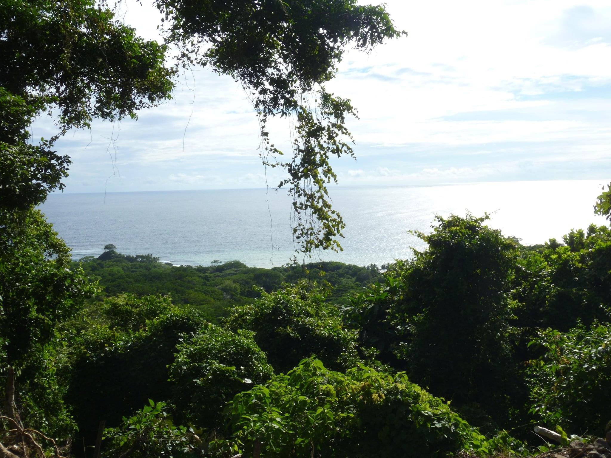 Rare Mal Pais Hills Ocean View Opportunity Property
