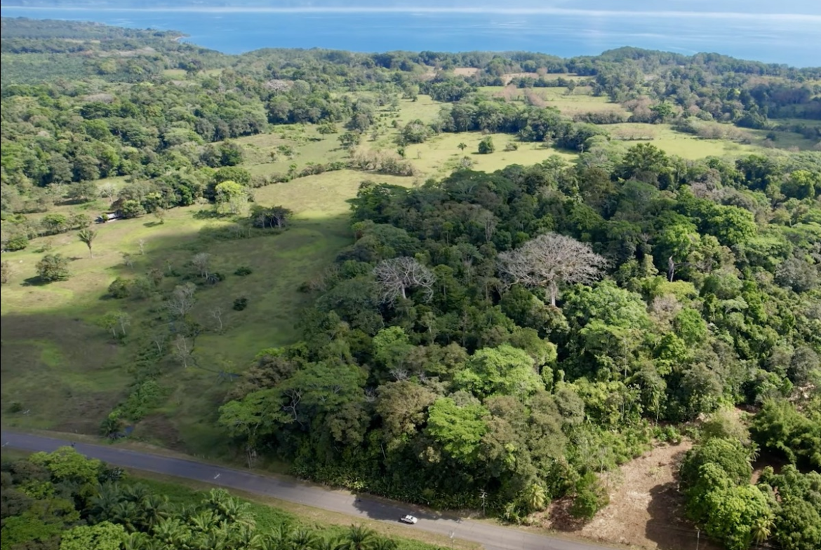 Flat Osa Peninsula 9-Acre Subdividable Property