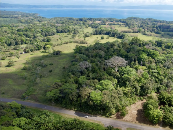 Flat Osa Peninsula 9-Acre Subdividable Property