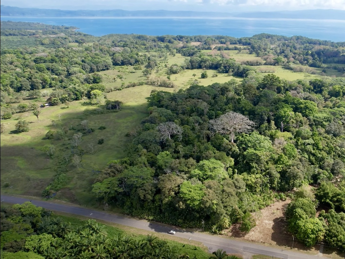 Flat Osa Peninsula 9-Acre Subdividable Property