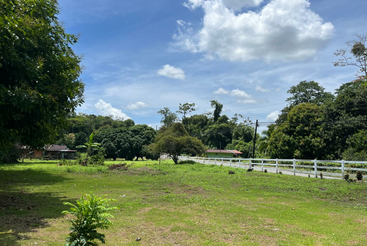 Finca 59 Acres in Siquirres
