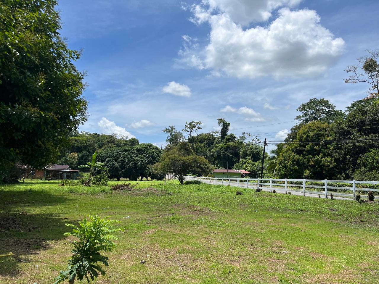 Finca 59 Acres in Siquirres