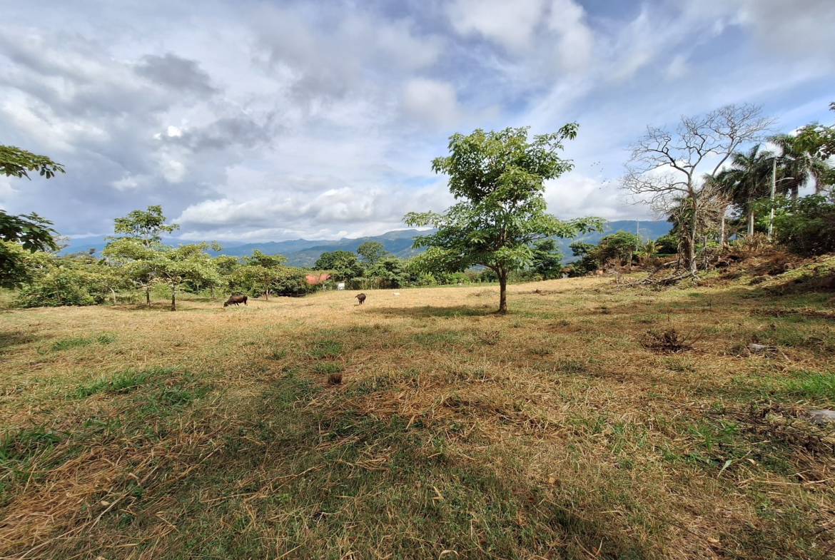 Spectacular almost 2-Acre Atenas Flat Building Lot