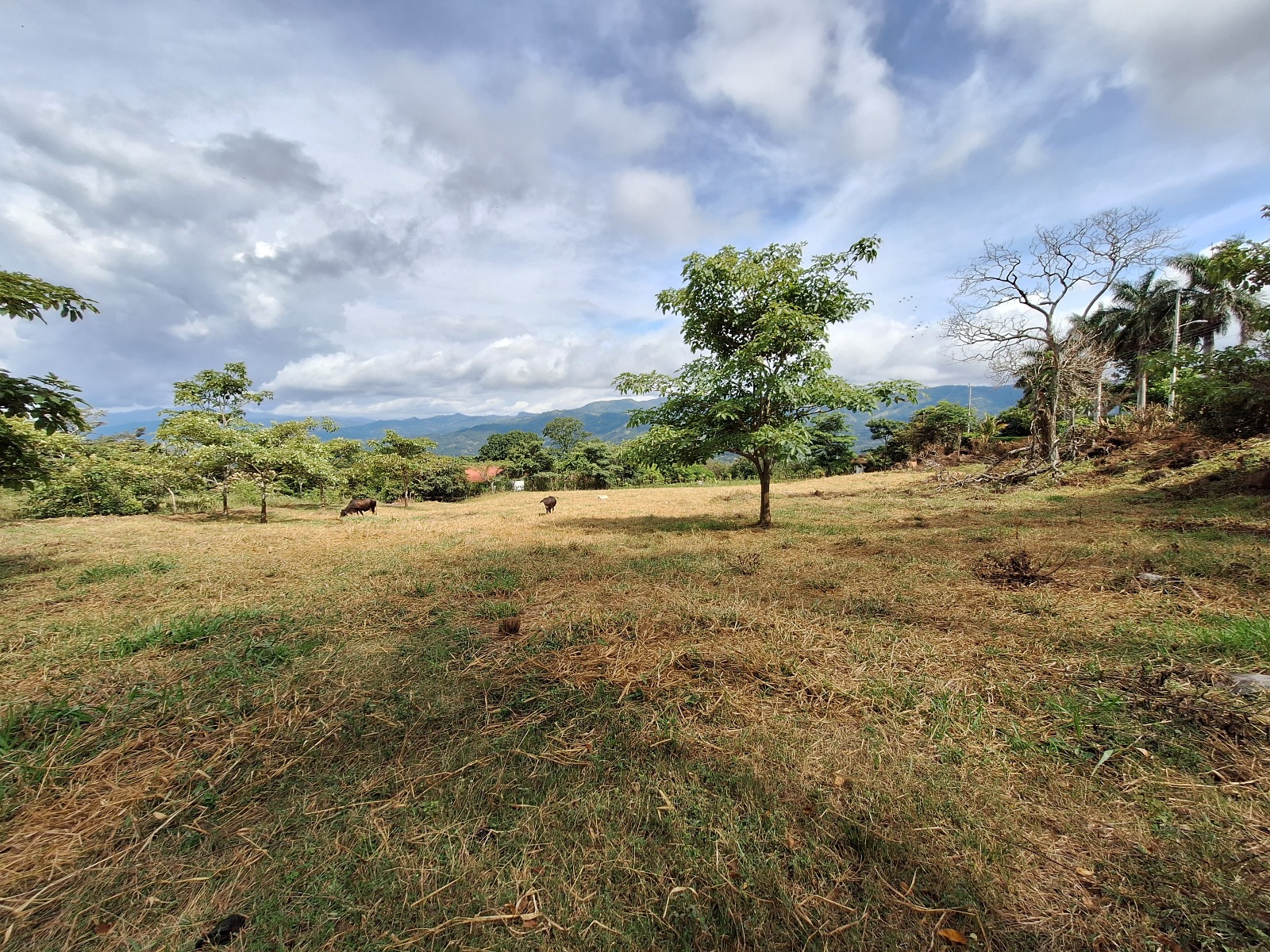 Spectacular almost 2-Acre Atenas Flat Building Lot