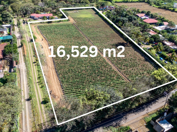 La Cañana Alajuela Building Lot - Opportunity to Invest