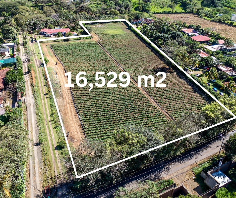 La Cañana Alajuela Building Lot - Opportunity to Invest