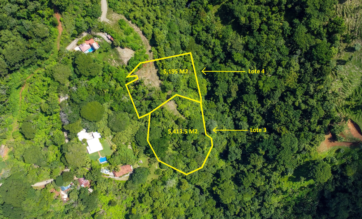 Stunning Playa Samara Ocean View Jungle Lots starting at $140,000